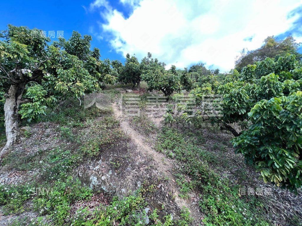 太平黃竹段土地房屋室內格局與周邊環境