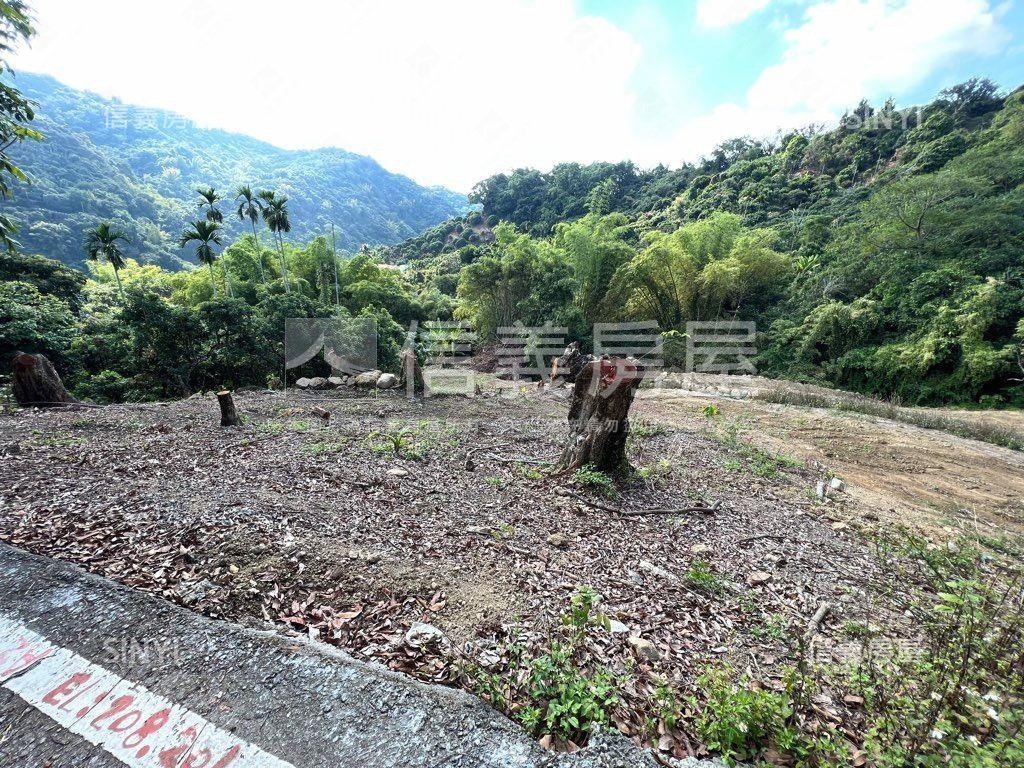 太平黃竹段土地房屋室內格局與周邊環境