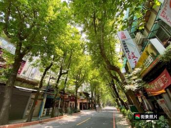 楓香中華靜巷公寓２樓