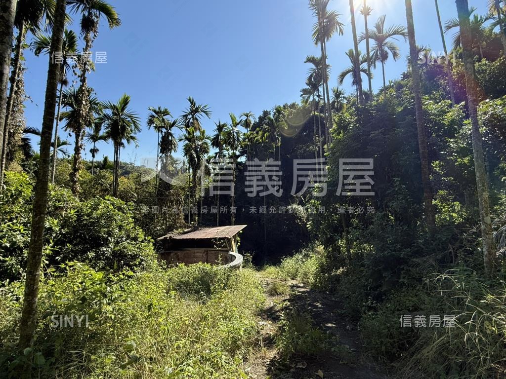 南投中寮近３６００坪土地房屋室內格局與周邊環境