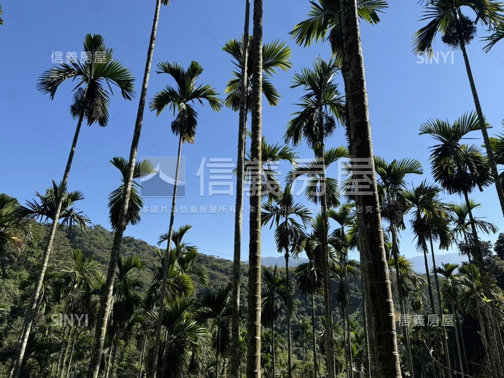 南投中寮近３６００坪土地房屋室內格局與周邊環境