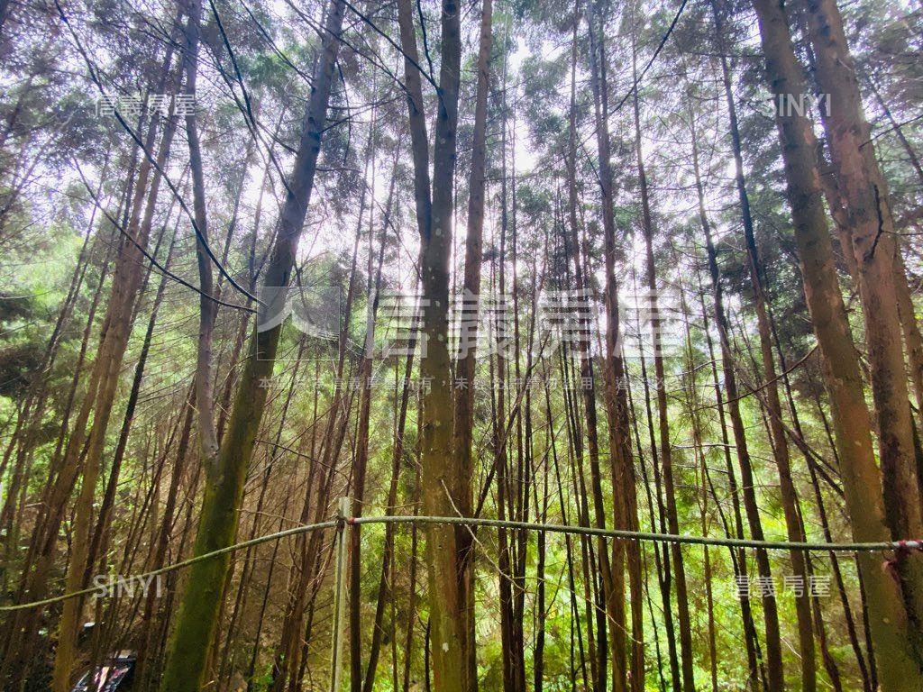 近東勢國中芬多精美山坡地房屋室內格局與周邊環境