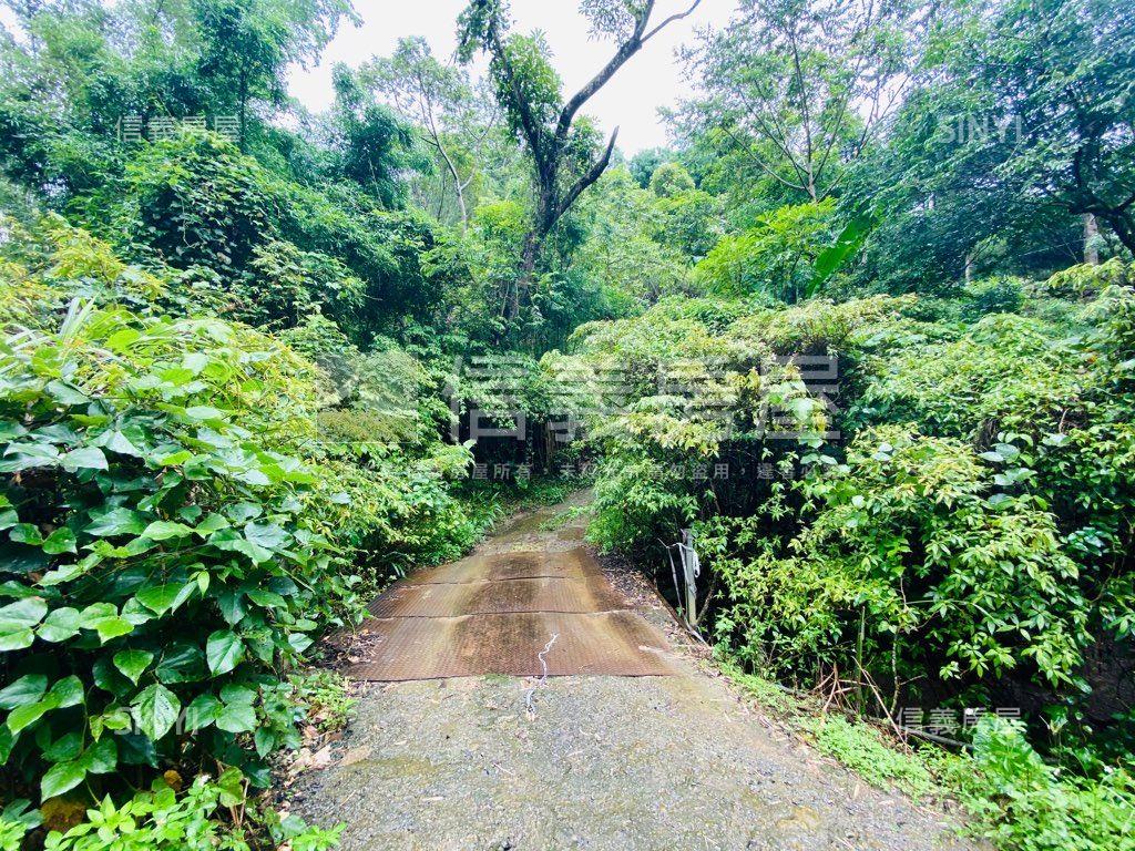 近東勢國中芬多精美山坡地房屋室內格局與周邊環境