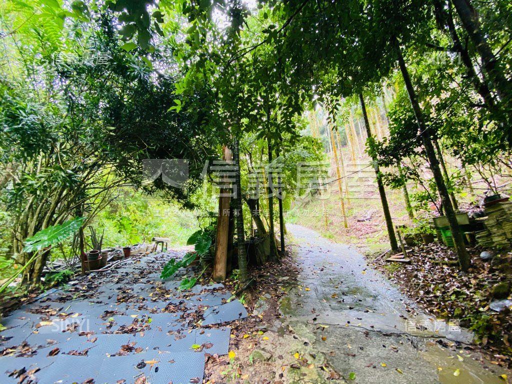 近東勢國中芬多精美山坡地房屋室內格局與周邊環境