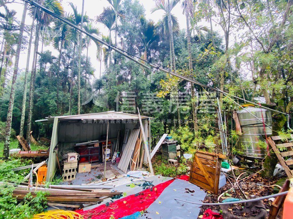 近東勢國中芬多精美山坡地房屋室內格局與周邊環境