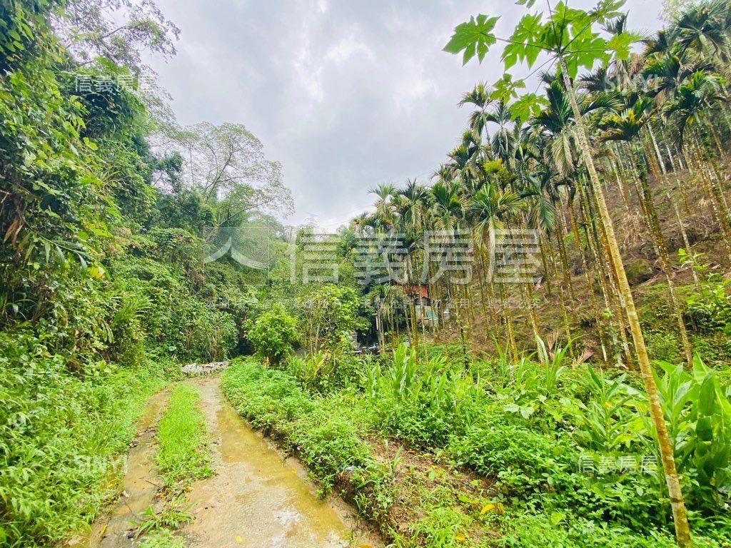 近東勢國中芬多精美山坡地房屋室內格局與周邊環境