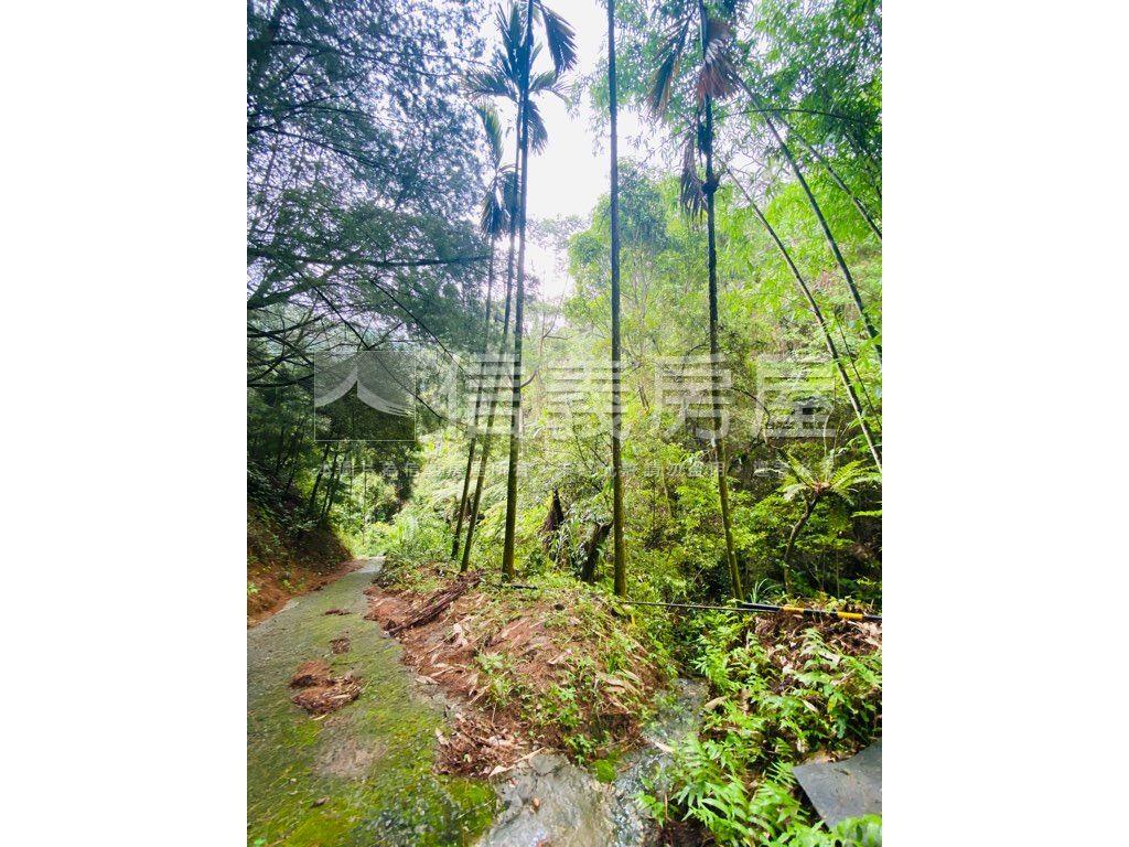 近東勢國中芬多精美山坡地房屋室內格局與周邊環境