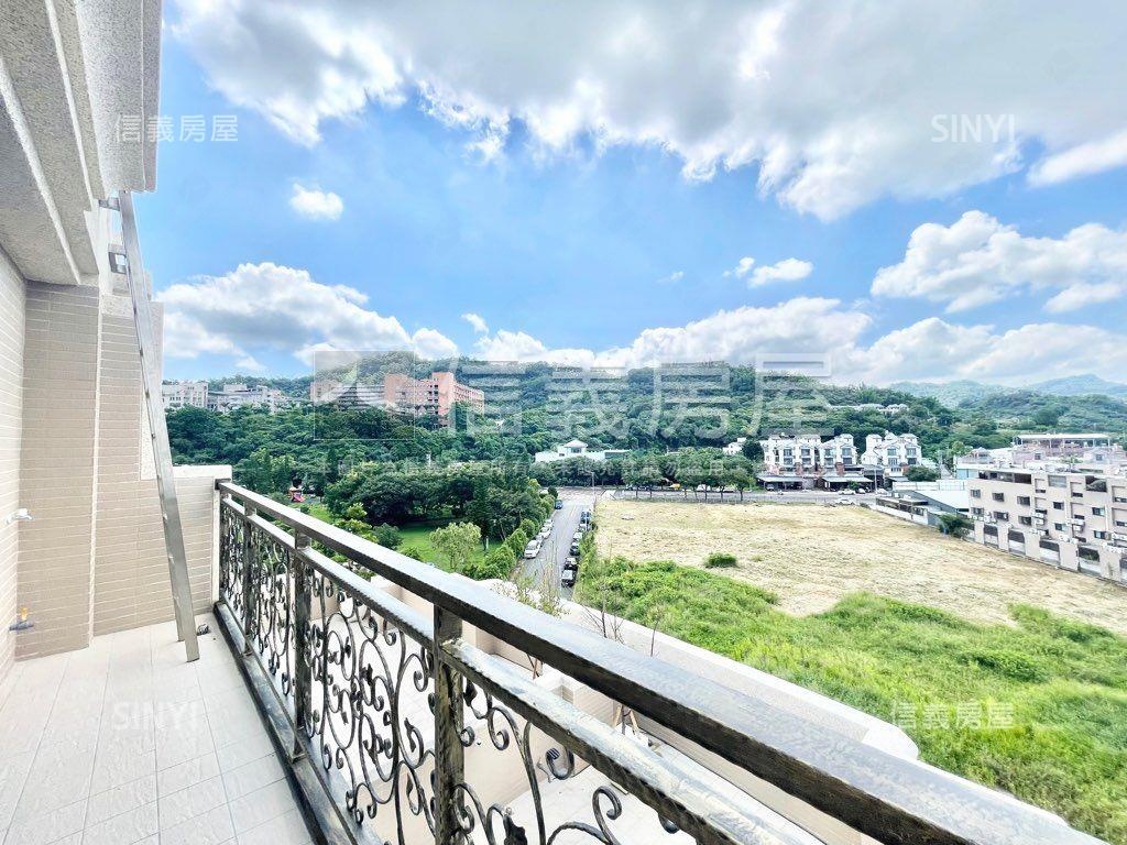 朝南山景電梯豪墅房屋室內格局與周邊環境