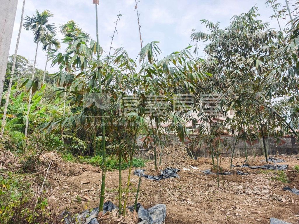 近心之芳庭開心農場別墅房屋室內格局與周邊環境