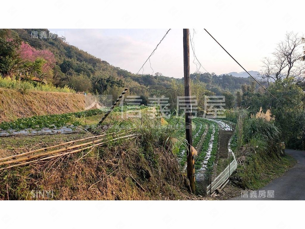 【三峽】依山傍水快樂農地房屋室內格局與周邊環境
