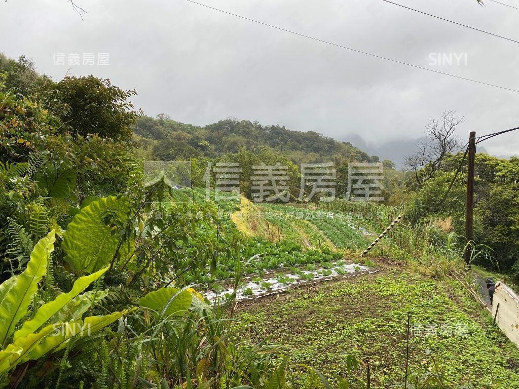 【三峽】依山傍水快樂農地房屋室內格局與周邊環境