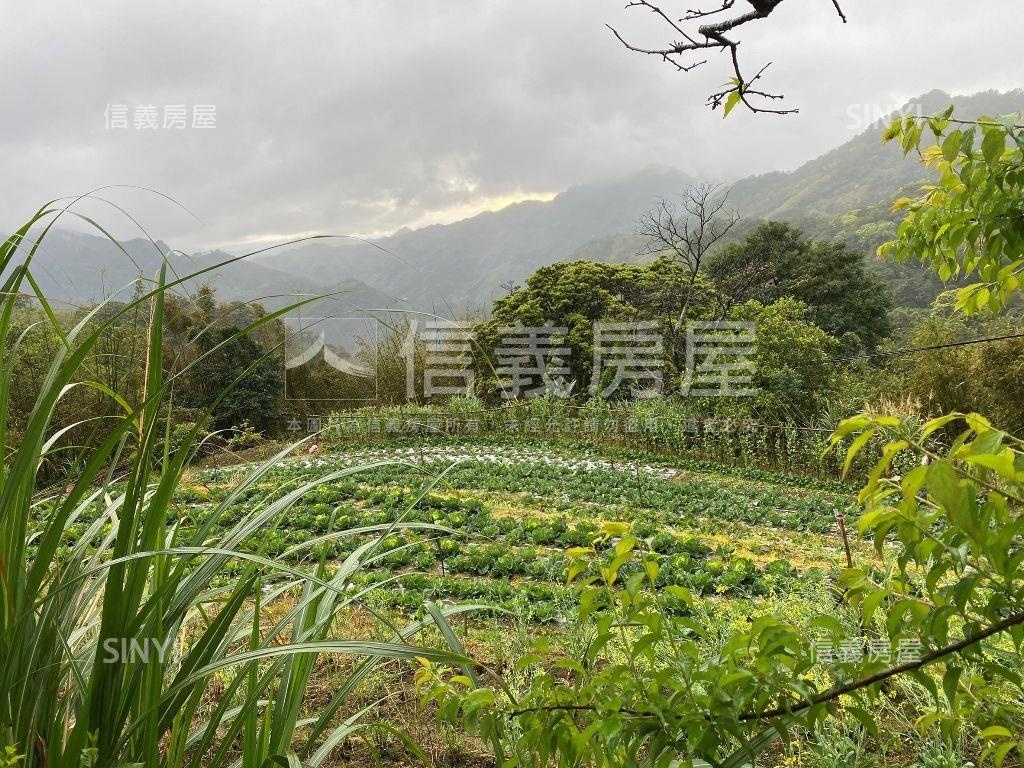 【三峽】依山傍水快樂農地房屋室內格局與周邊環境