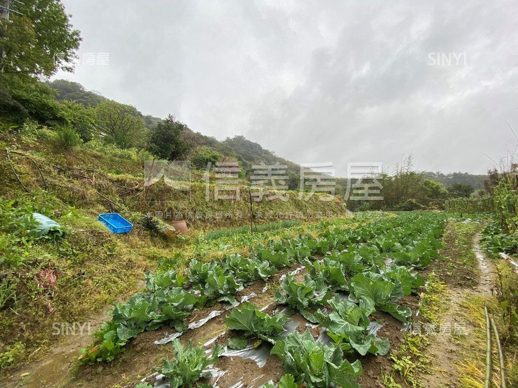 【三峽】依山傍水快樂農地房屋室內格局與周邊環境