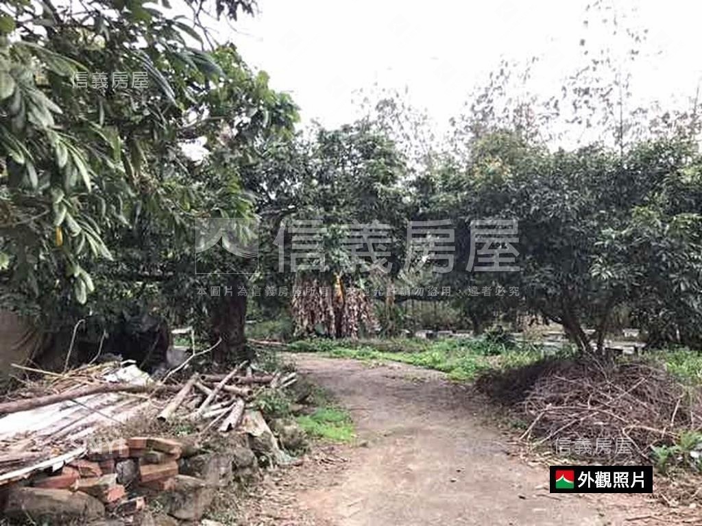 台南白河丙種土地出售房屋室內格局與周邊環境