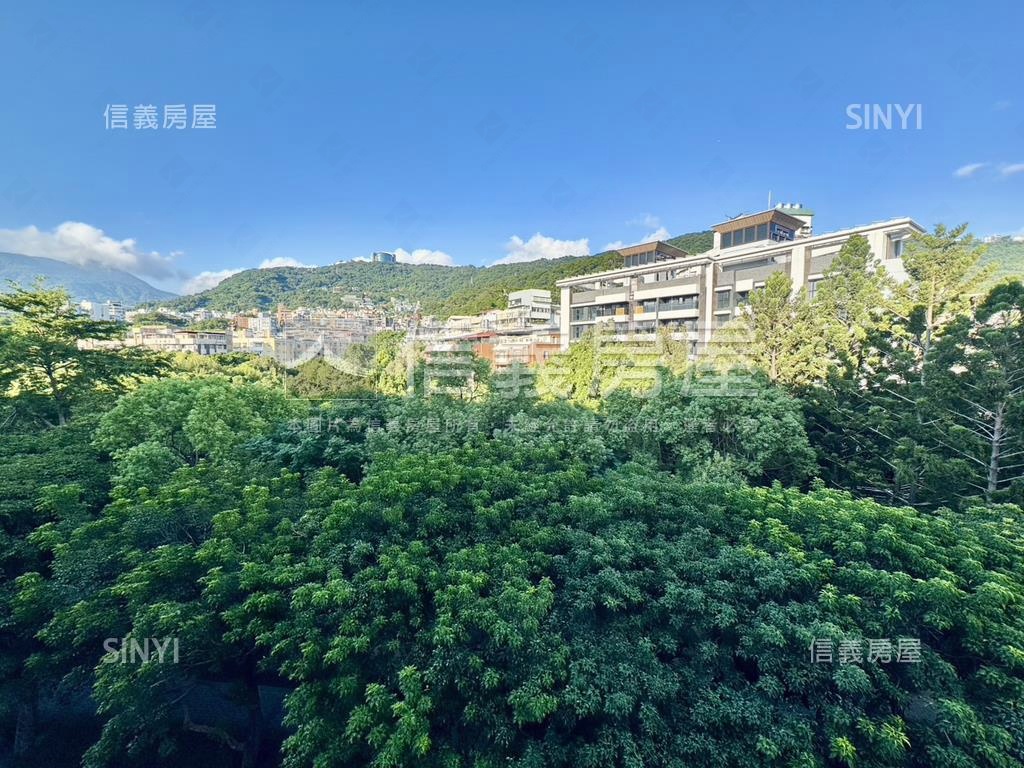 天母僑資華廈面公園房屋室內格局與周邊環境
