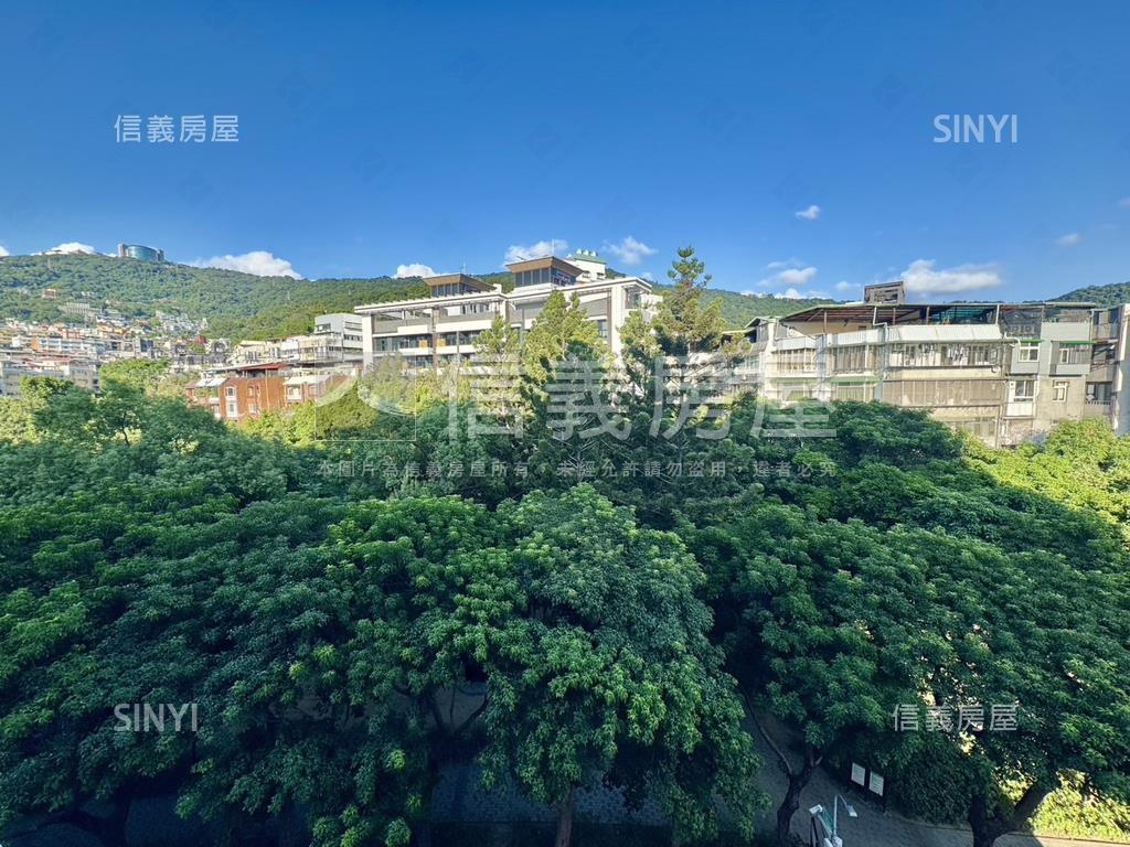 天母僑資華廈面公園房屋室內格局與周邊環境