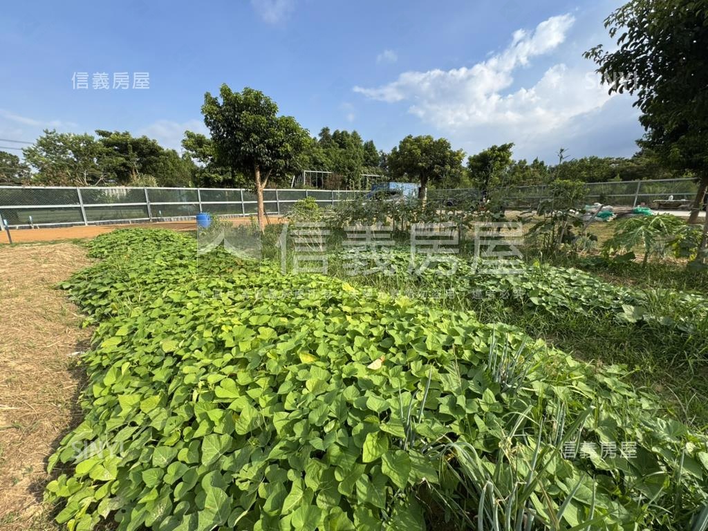桃園龍潭漂亮農地房屋室內格局與周邊環境