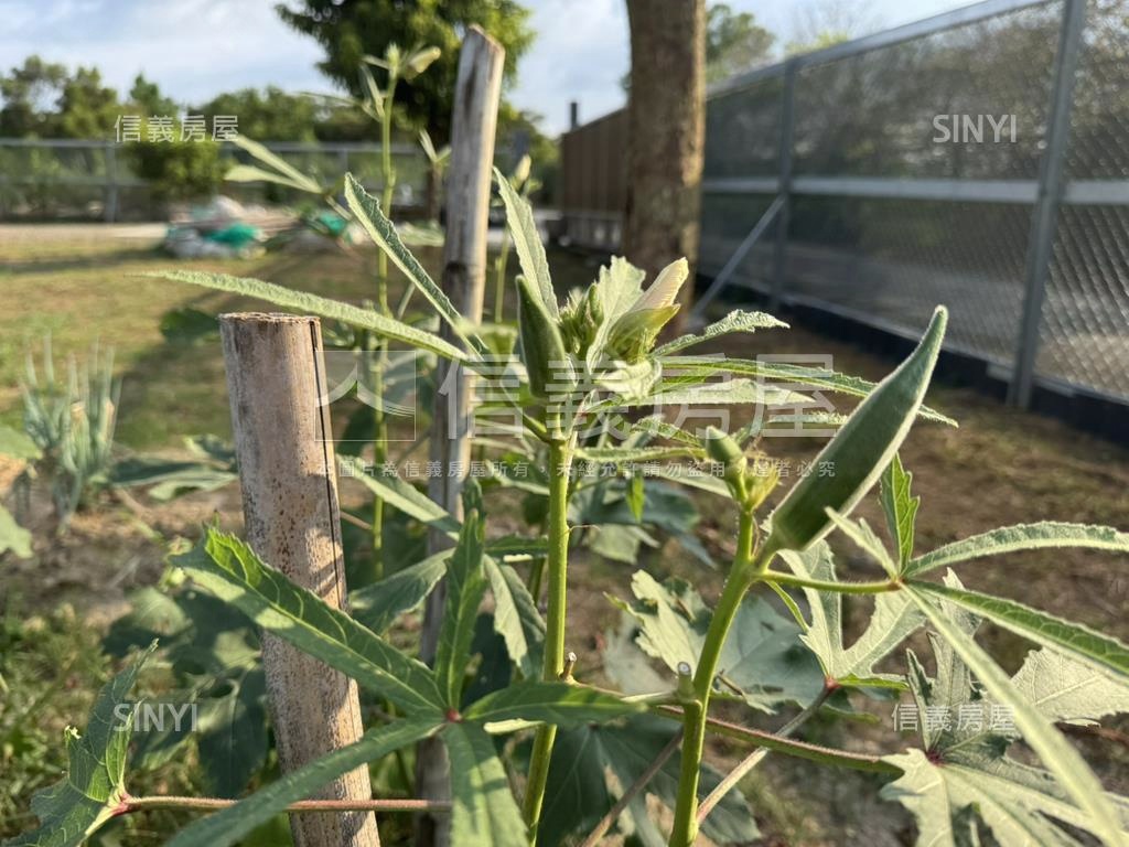 桃園龍潭漂亮農地房屋室內格局與周邊環境