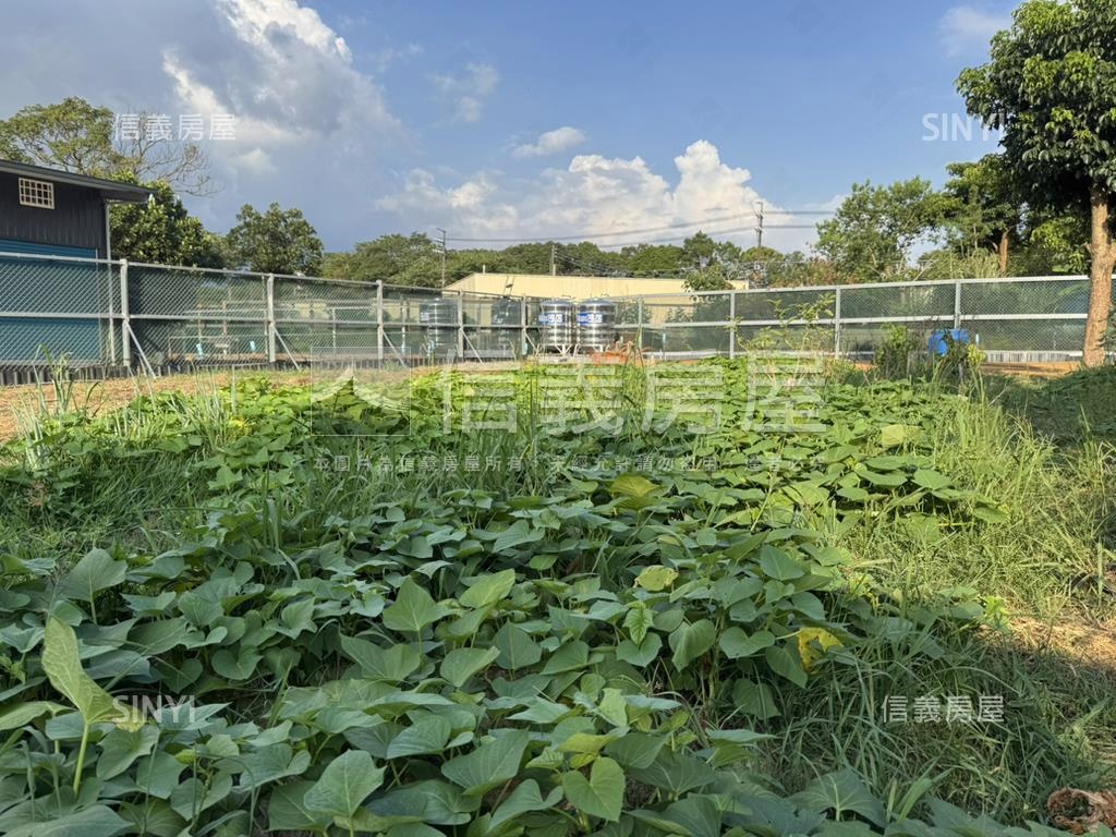 桃園龍潭漂亮農地房屋室內格局與周邊環境