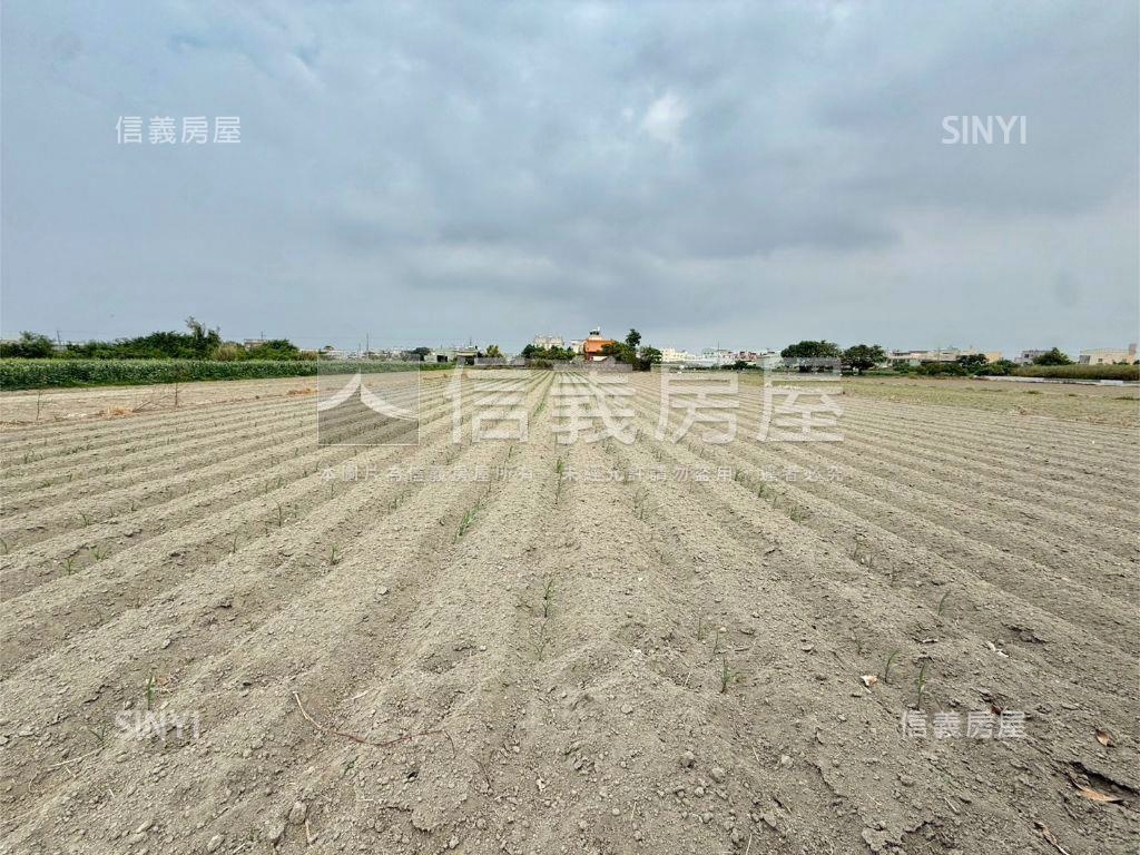 國道八˙約７９５坪農地房屋室內格局與周邊環境