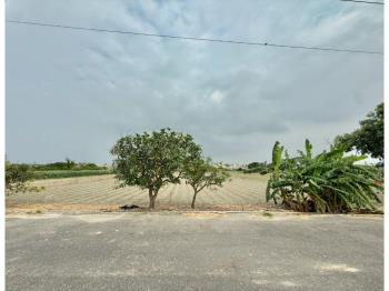 國道八˙約７９５坪農地