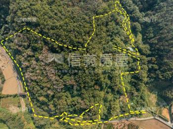 苗栗頭份大土地