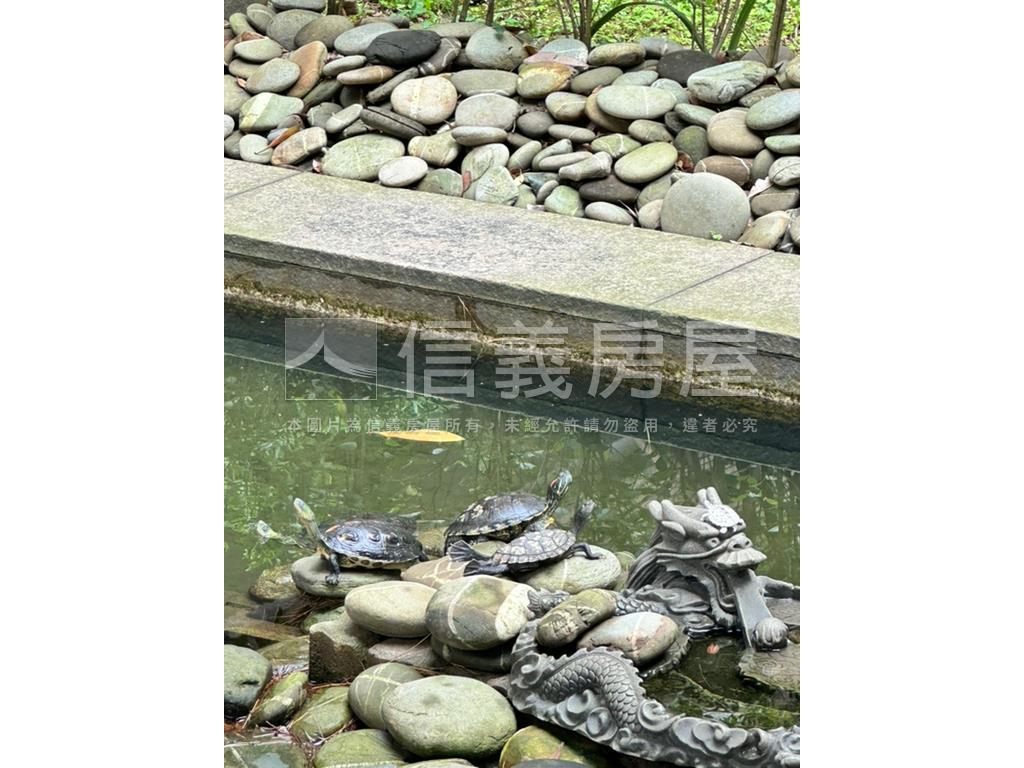 深耕一路發發發三房車位房屋室內格局與周邊環境