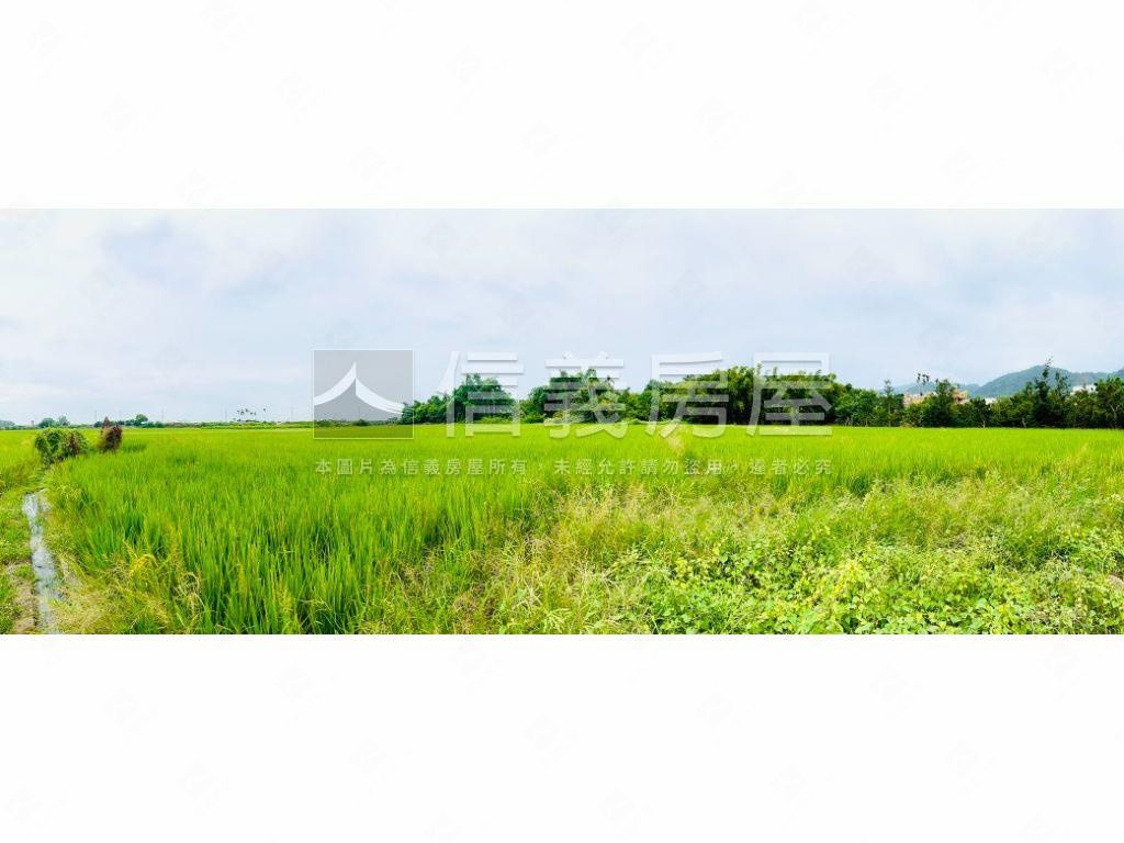 近田中商圈寬闊農地誠售！房屋室內格局與周邊環境