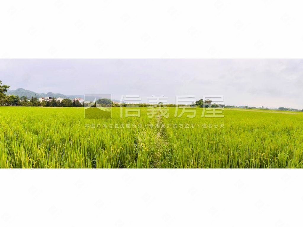 近田中商圈寬闊農地誠售！房屋室內格局與周邊環境