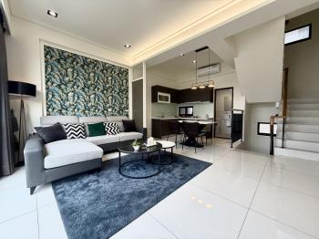 仁武精裝全採光車墅