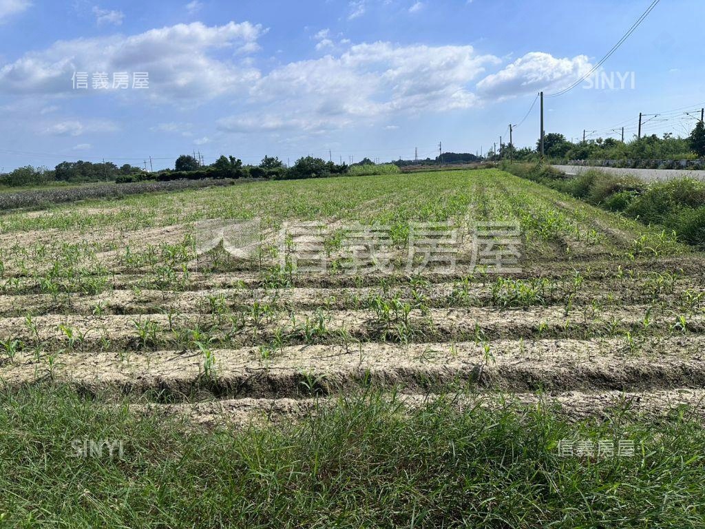 雲林斗六地形方正無套匯推房屋室內格局與周邊環境