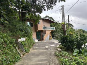 近茄苳瀑布林業用地