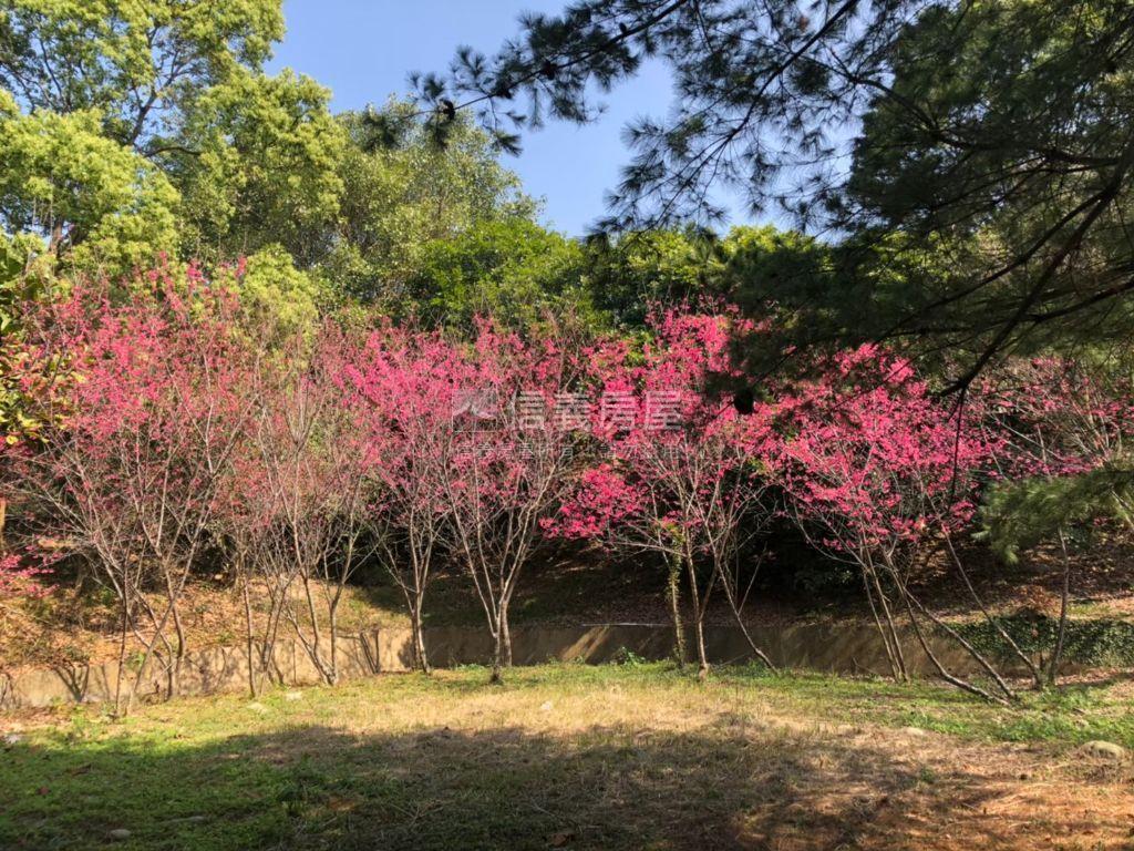 近三義火車站土地房屋室內格局與周邊環境