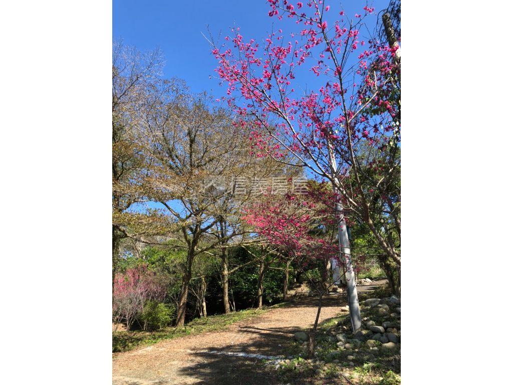 近三義火車站土地房屋室內格局與周邊環境