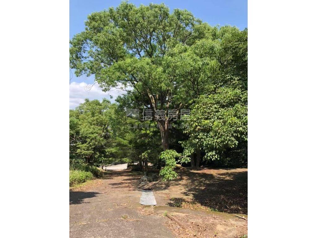 近三義火車站土地房屋室內格局與周邊環境