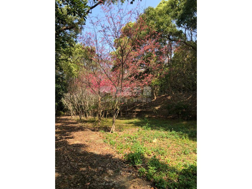 近三義火車站土地房屋室內格局與周邊環境