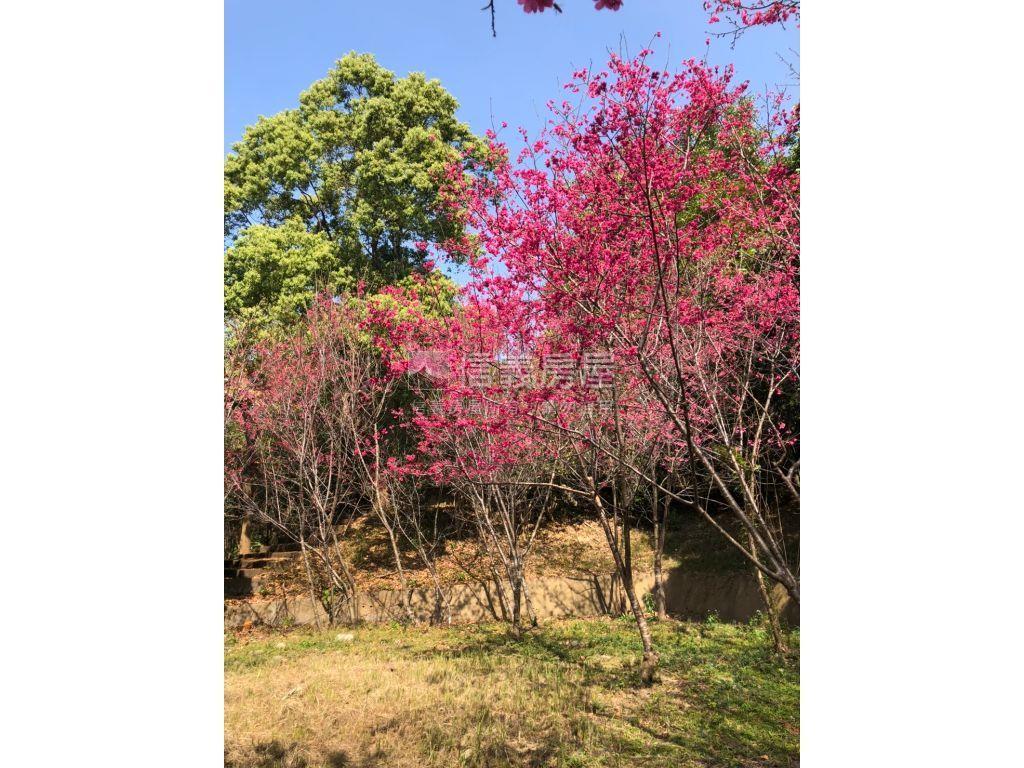 近三義火車站土地房屋室內格局與周邊環境