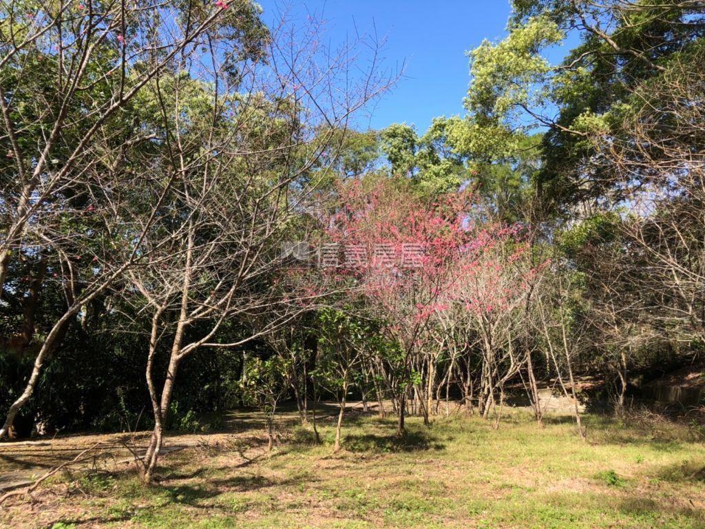 近三義火車站土地房屋室內格局與周邊環境
