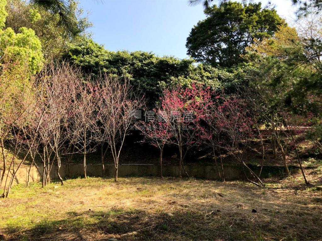 近三義火車站土地房屋室內格局與周邊環境