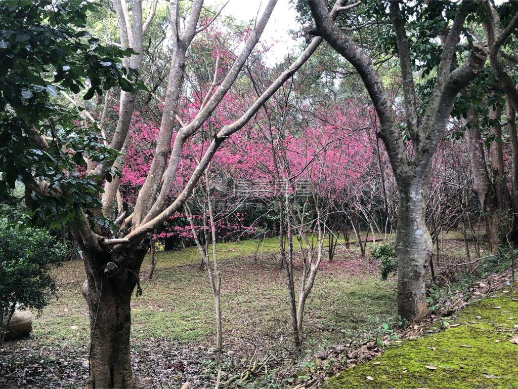 近三義火車站土地房屋室內格局與周邊環境