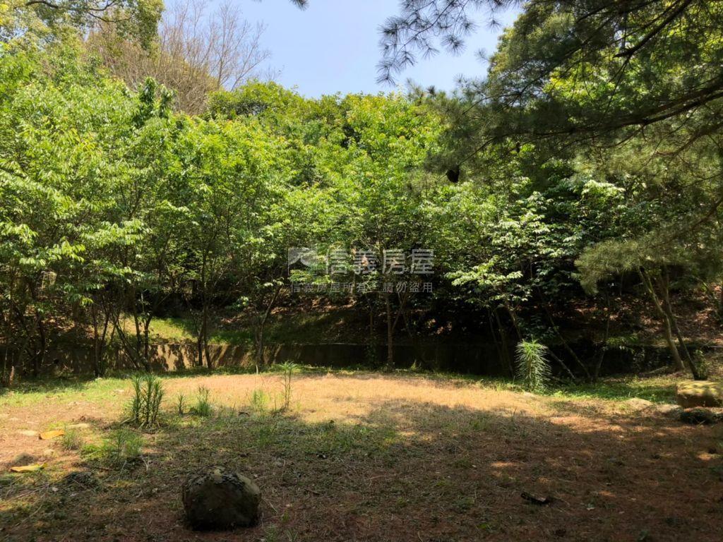 近三義火車站土地房屋室內格局與周邊環境