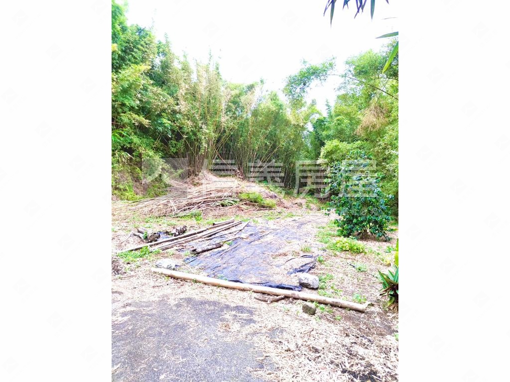 值得購入貢寮雞母嶺土地房屋室內格局與周邊環境