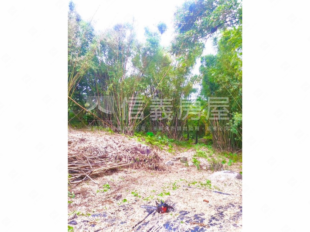 值得購入貢寮雞母嶺土地房屋室內格局與周邊環境