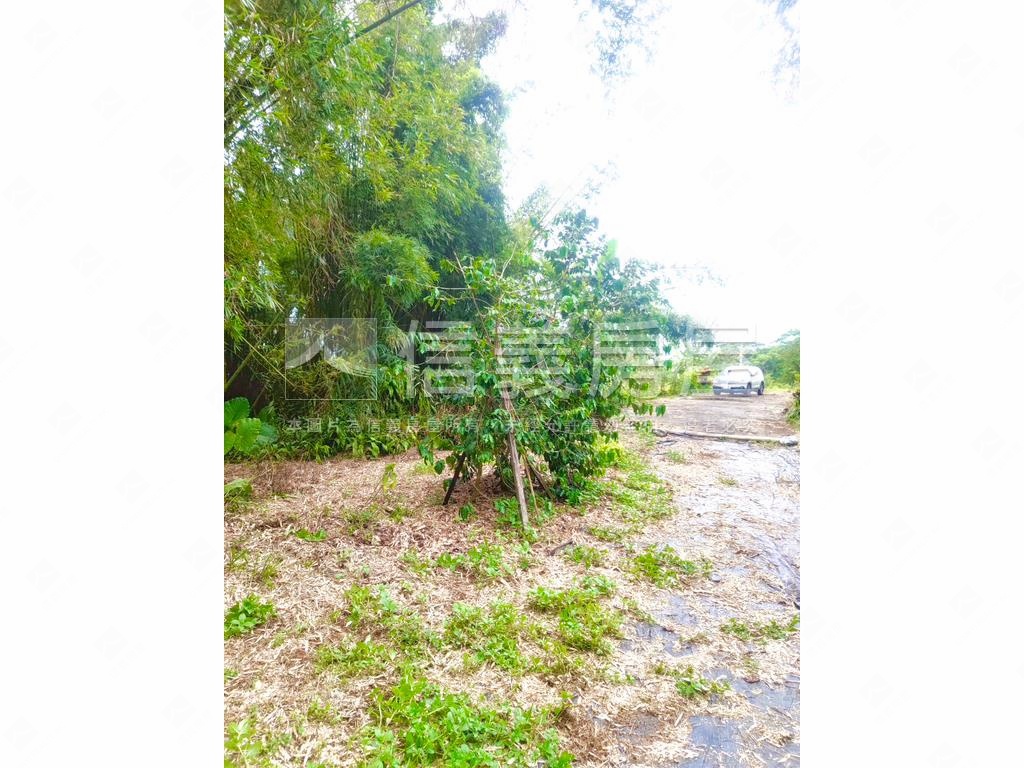 值得購入貢寮雞母嶺土地房屋室內格局與周邊環境