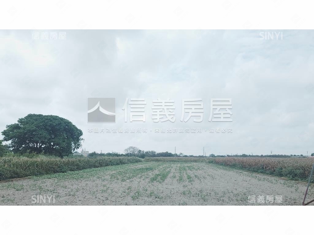 學甲臨路開心農場房屋室內格局與周邊環境