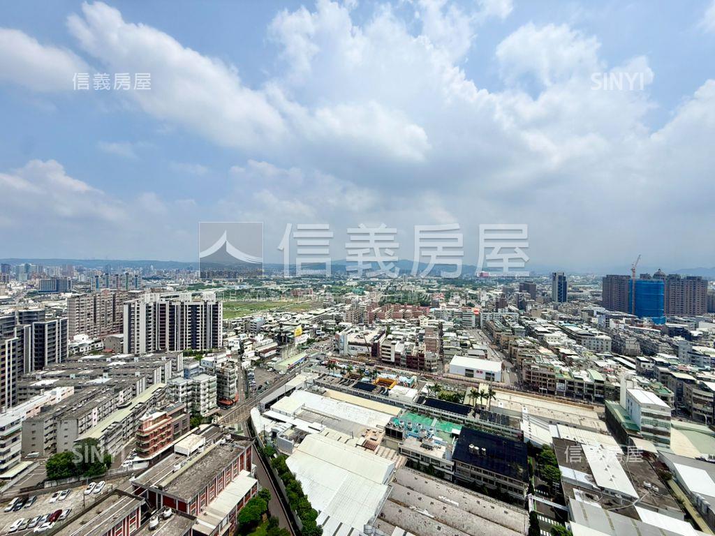 桃大誠。遠眺城市美景房屋室內格局與周邊環境