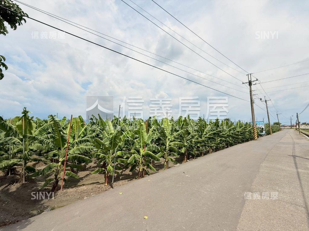 美濃開心農地房屋室內格局與周邊環境