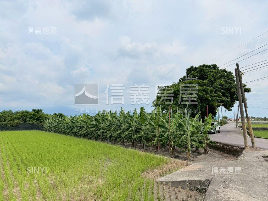 美濃開心農地房屋室內格局與周邊環境