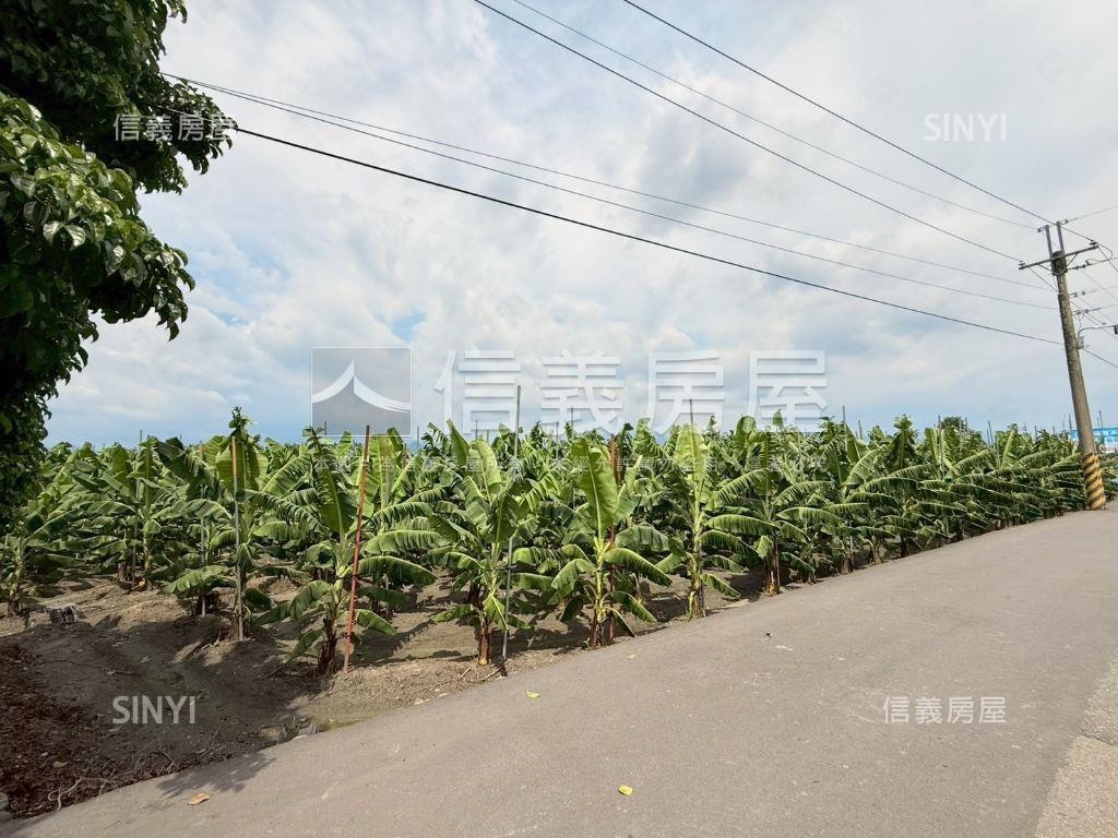 美濃開心農地房屋室內格局與周邊環境