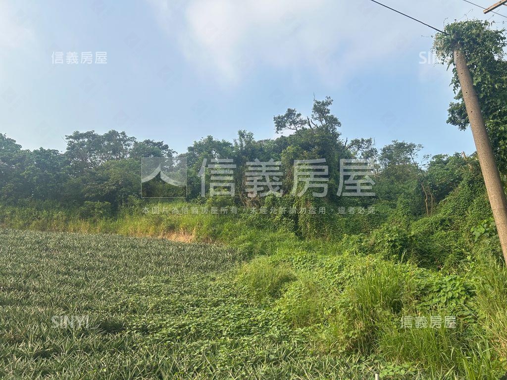 鳥松美山路快樂農場Ｂ房屋室內格局與周邊環境